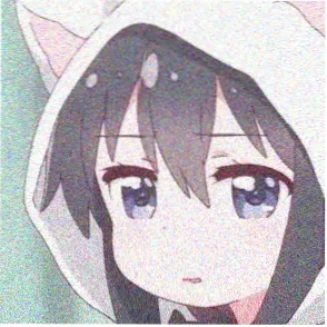 会员数字游民